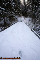 Il ponte